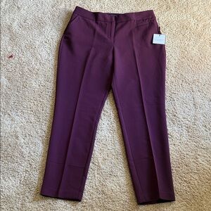 Laundry by Design Purple Straight Leg Pants